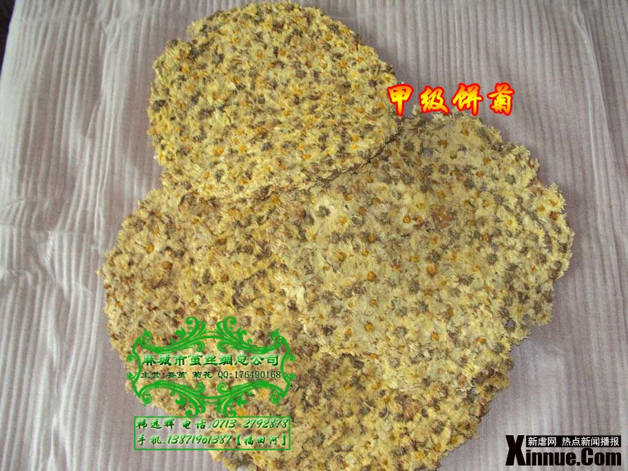 【福白菊批发】湖北省麻城市：探索福白菊之乡福田河 发现麻城之美