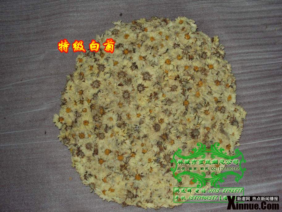 【福白菊批发】湖北省麻城市：探索福白菊之乡福田河 发现麻城之美