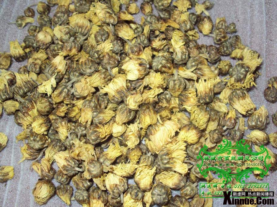 【福白菊批发】湖北省麻城市：探索福白菊之乡福田河 发现麻城之美